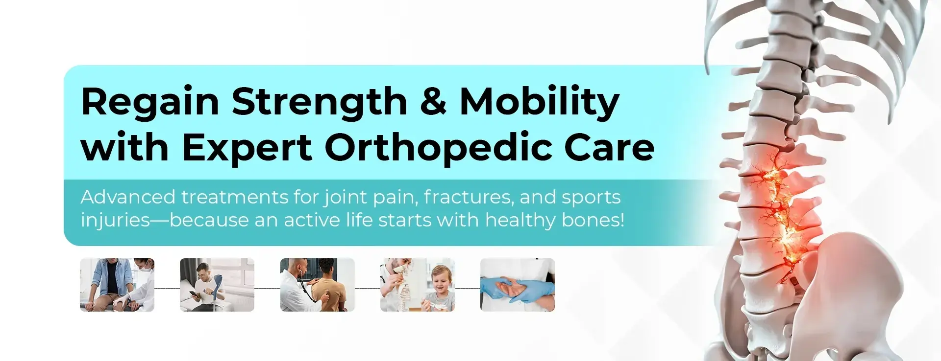 compressed_orthopedics-1-2 (1)